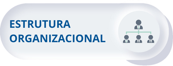 ESTRUTURA ORGANIZACIONAL