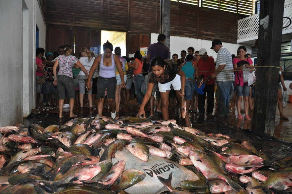 Entrega de Peixes marca semana Santa em Alto Paraíso-RO